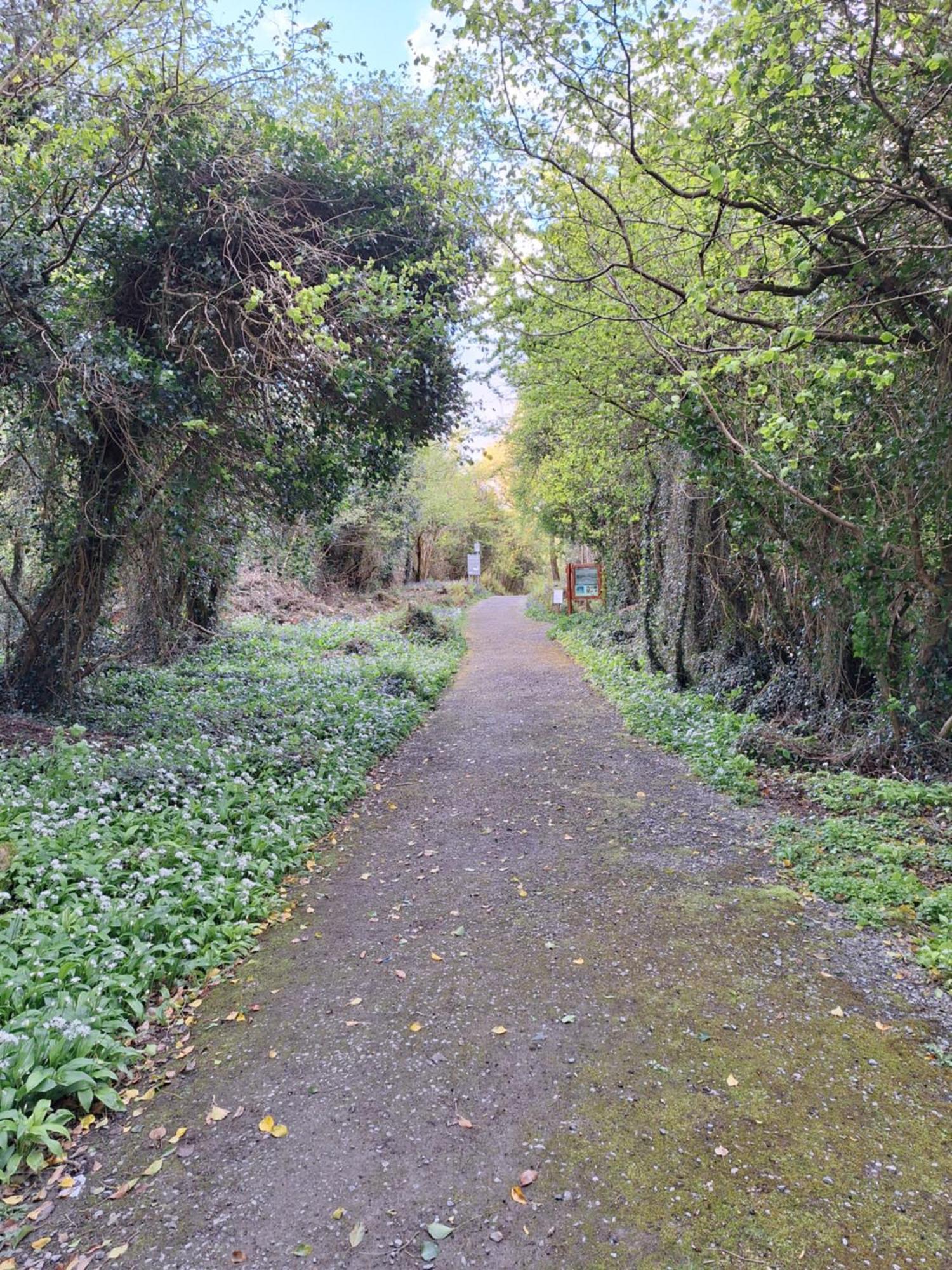 Ard Aoibhinn Roscommon Lecarrow 외부 사진